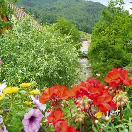 Apartmán Residenz Kupferkanne - Dmg10005-dyc